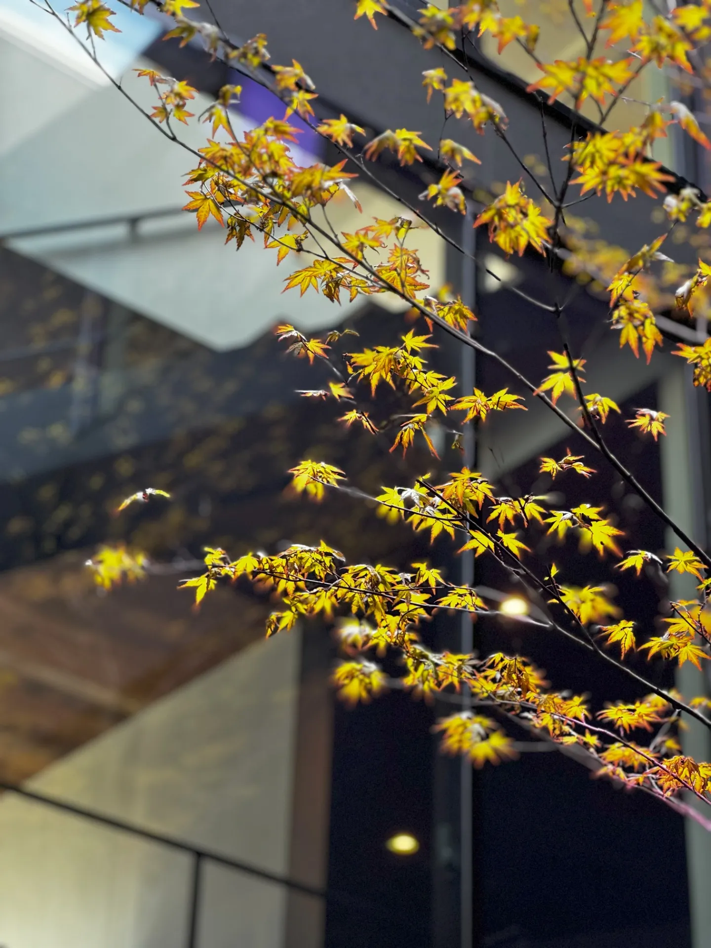 vol.13　守山市｜3階建ての中庭 | トミケン