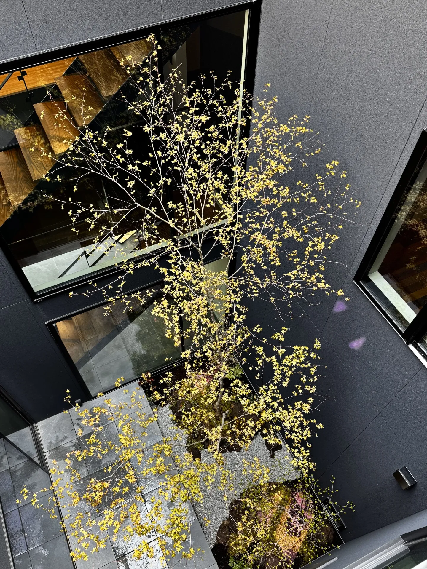 vol.13　守山市｜3階建ての中庭 | トミケン