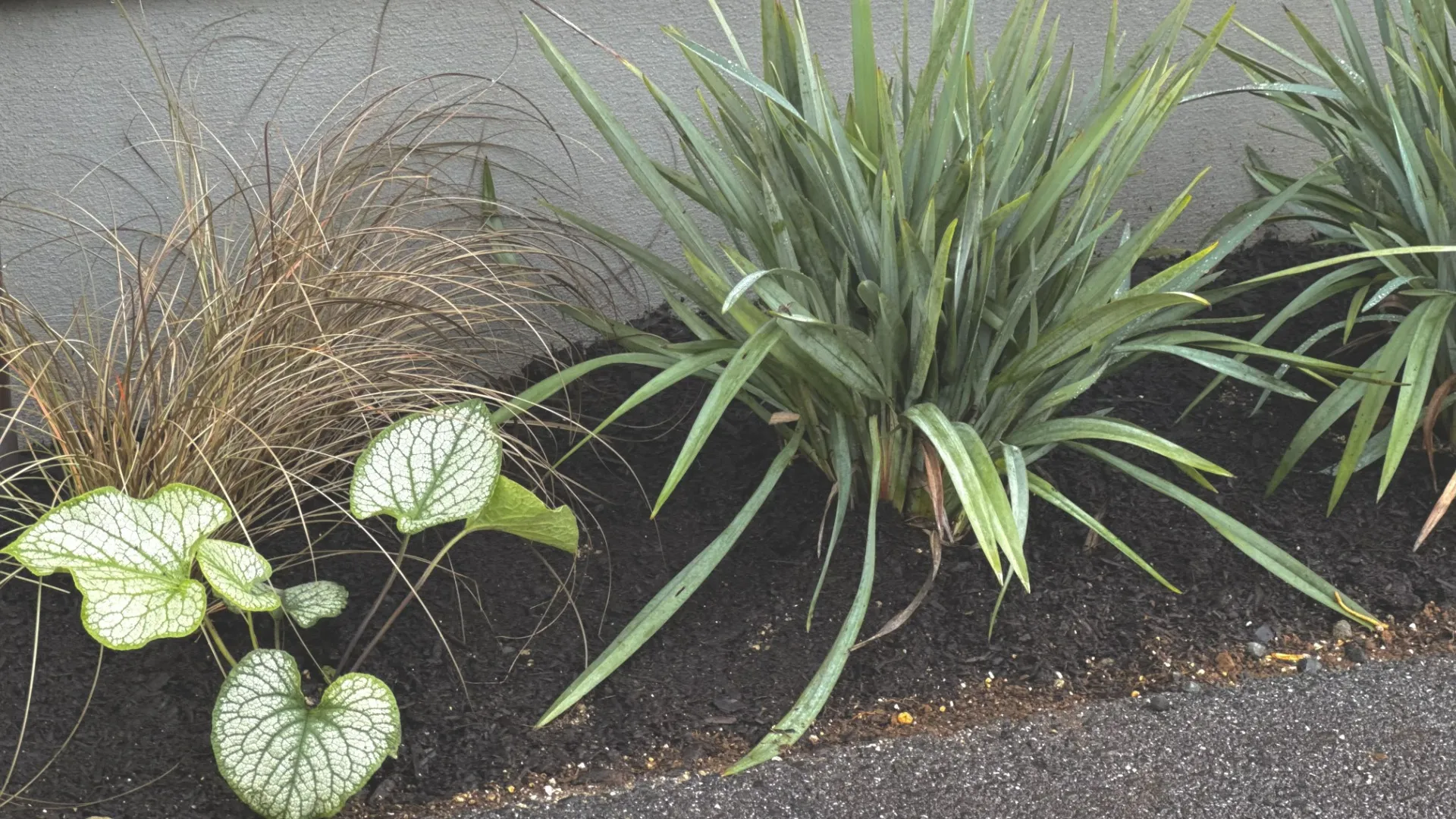 vol.18守山市｜ガーデンデザイン　お庭の花壇のリノベーション| トミケン