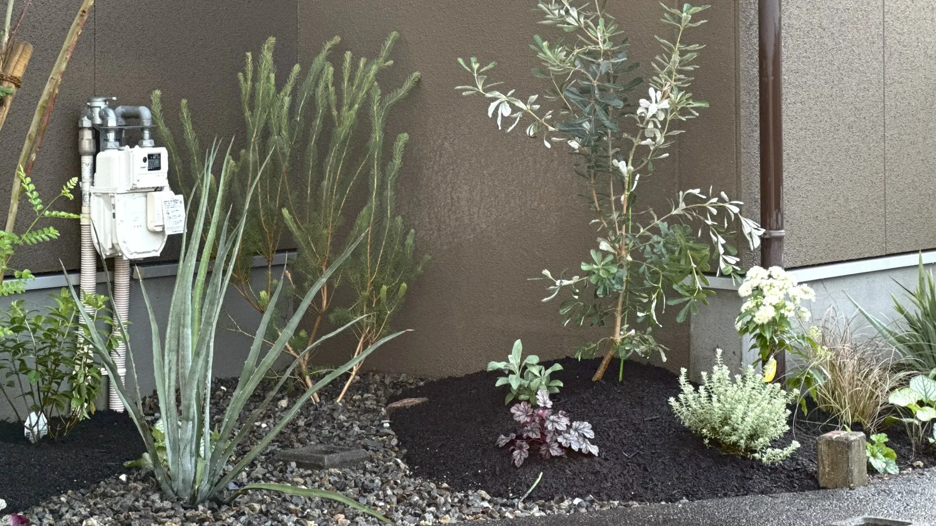 vol.18守山市｜ガーデンデザイン　お庭の花壇のリノベーション| トミケン