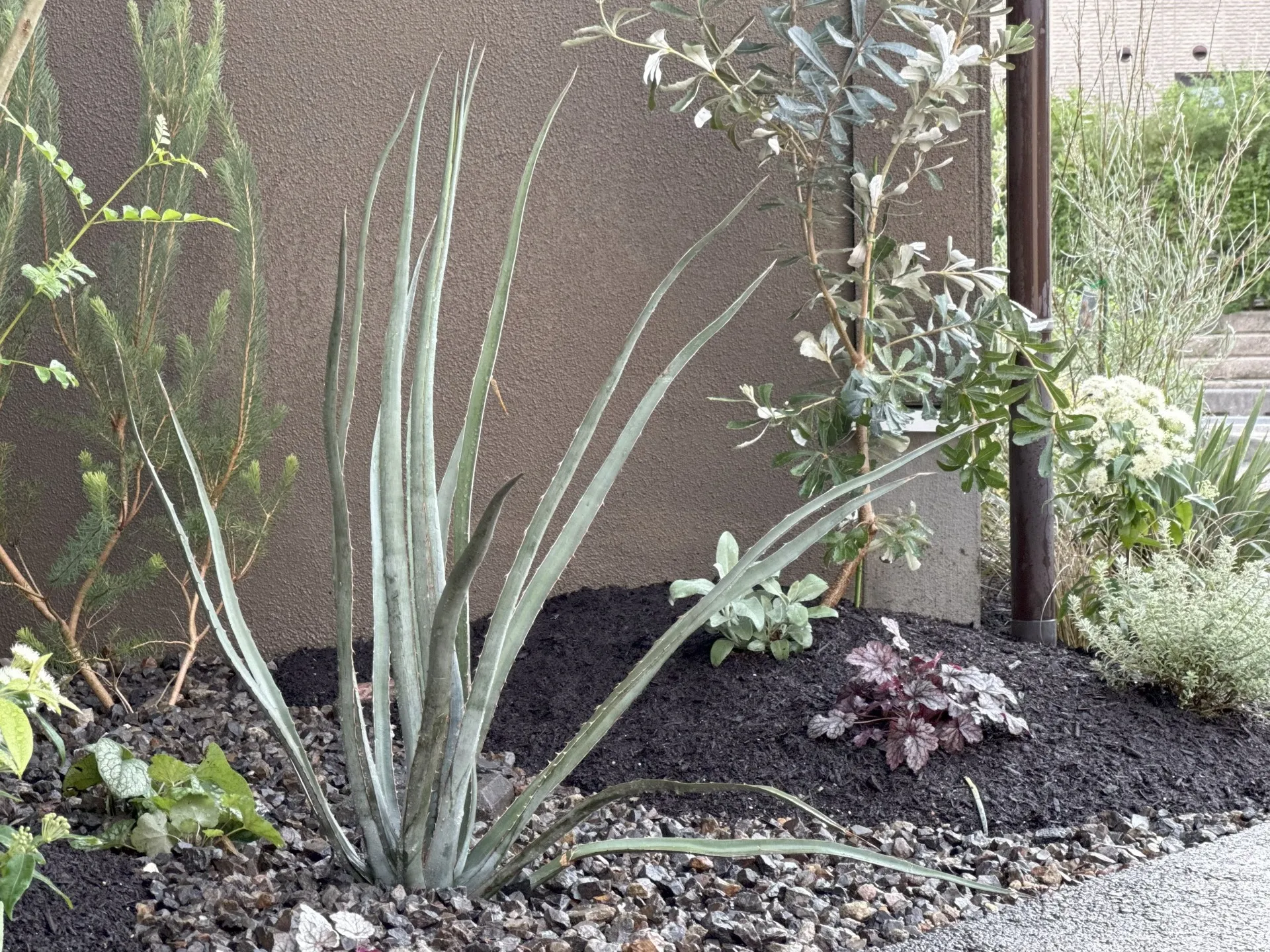 vol.18守山市｜ガーデンデザイン　お庭の花壇のリノベーション| トミケン