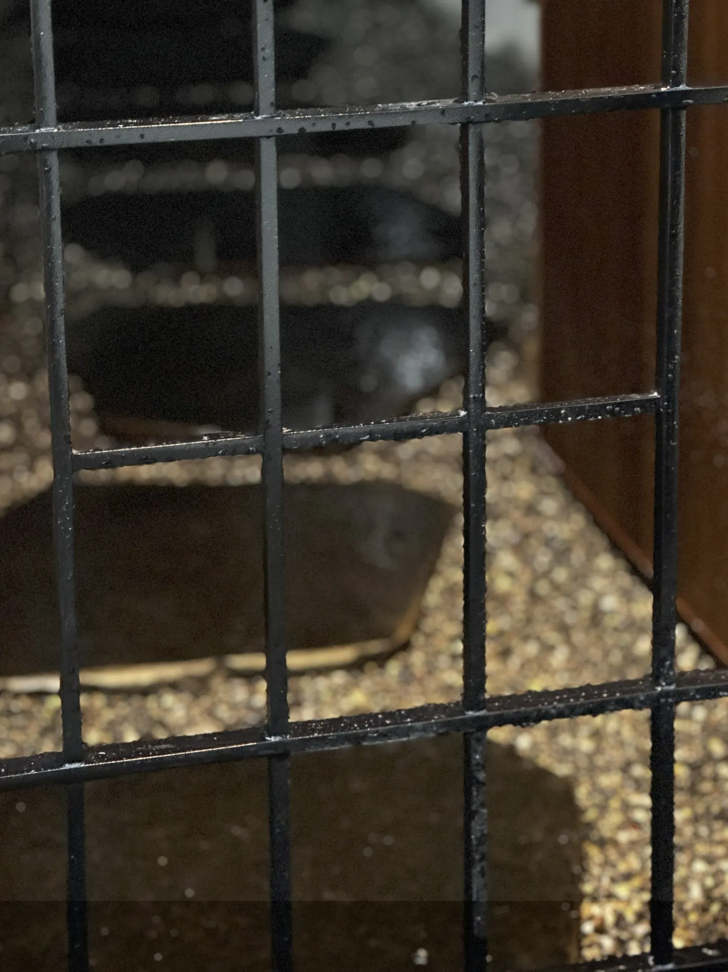 vol.21 近江八幡市｜屋外トータルリフォーム| LIXIL　Gスタイル