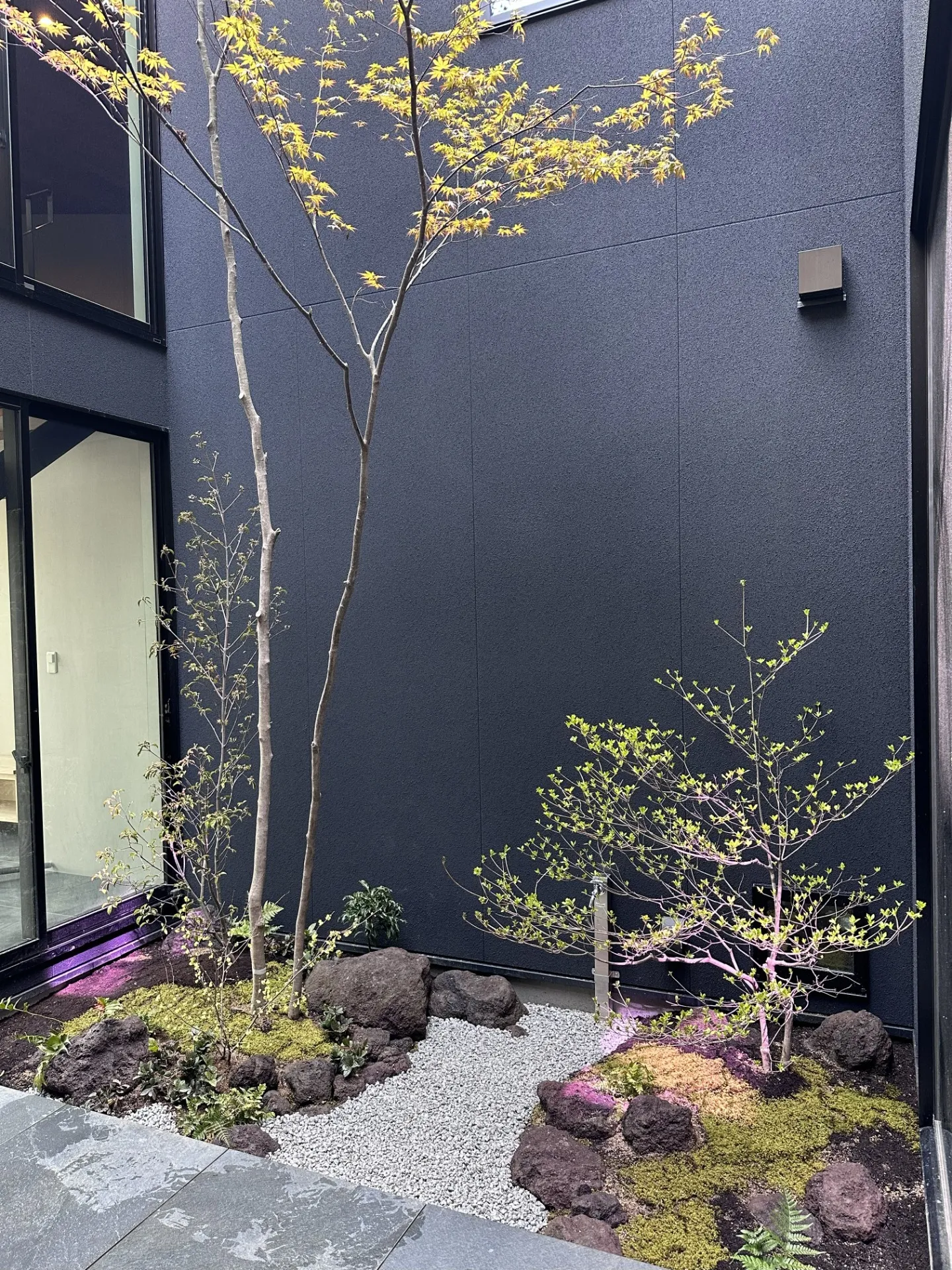 滋賀県【施工事例】美しいモミジの木の中庭|シンボルツリーの大切さ｜近江八幡市｜滋賀｜外構｜エクステリア｜ガーデン｜庭一設計企画｜pino/niwaichi